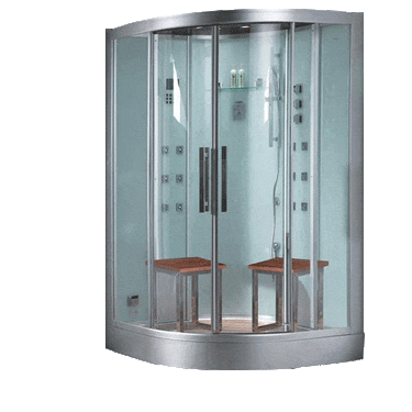 ARIEL Platinum DZ962F8 Steam Shower Steam Shower ARIEL